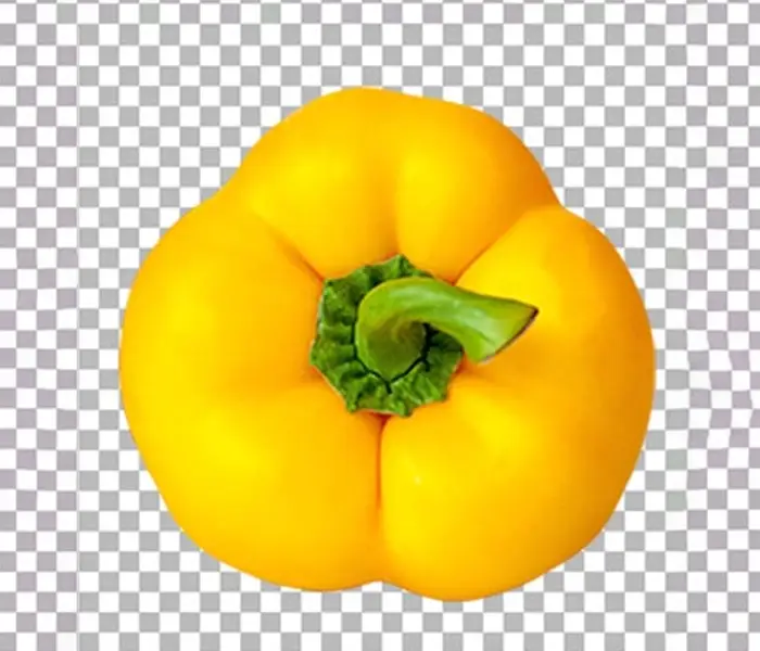 Easy Clipping Path 2 Easy Clipping Path Done